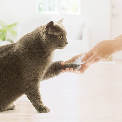 Tông đơ cắt tỉa lông thú cưng Xiaomi Pawbby MG-FP001