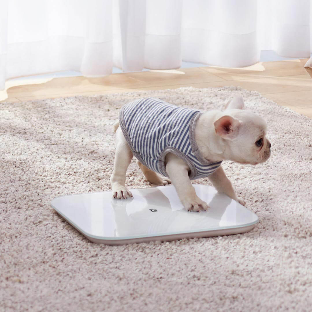 Cân Sức Khỏe Xiaomi Thông Minh Mi Smart Scale 2 - Chính Hãng